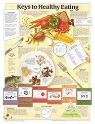 Food Charts, Detailed Human Physiology Charts, Human Anatomy Plastic Models